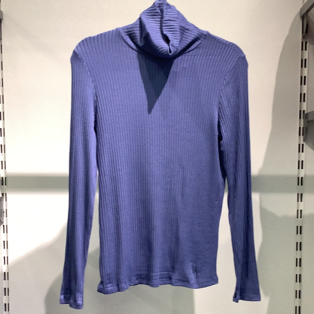 Blue Ribbed Turtle Neck