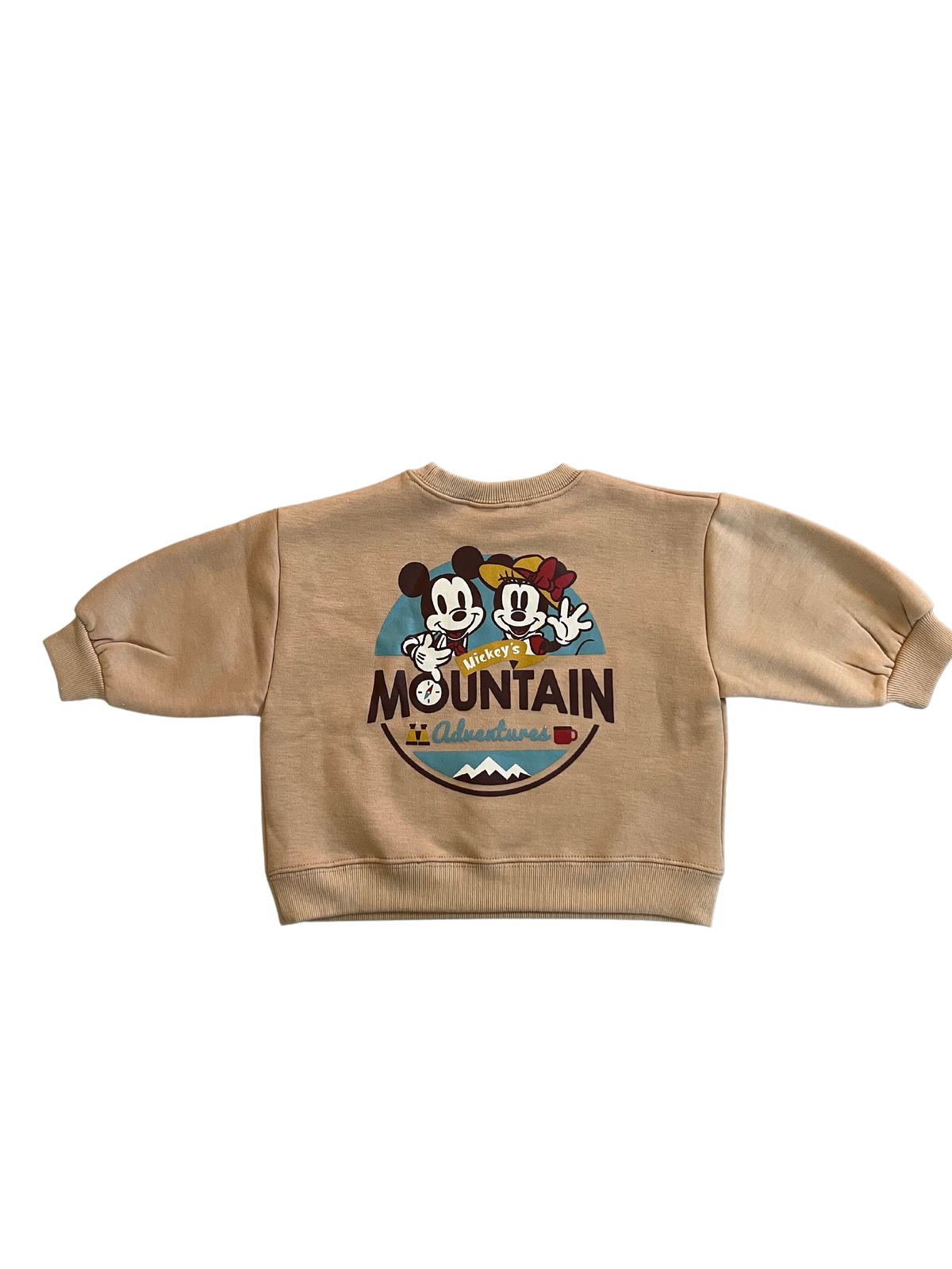Assorted Mountain Sweatshirt - In Store