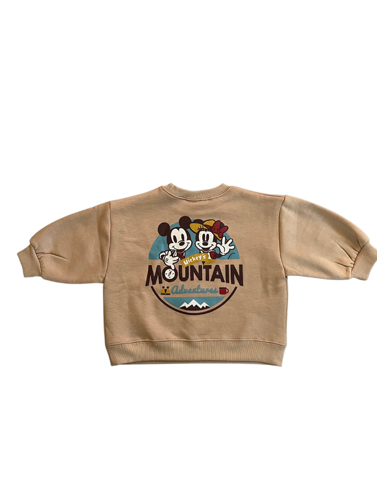 Assorted Mountain Sweatshirt - In Store